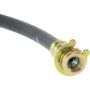CENTRIC PARTS 150.62057 Centric Brake Hose