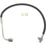 CENTRIC PARTS 150.65081 Centric Brake Hose