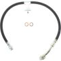 CENTRIC PARTS 150.66033 Centric Brake Hose