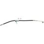 CENTRIC PARTS 150.66080 Centric Brake Hose