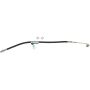 CENTRIC PARTS 150.66080 Centric Brake Hose