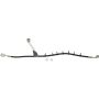 CENTRIC PARTS 150.80024 Centric Brake Hose