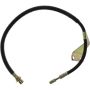 CENTRIC PARTS 150.80311 Centric Brake Hose
