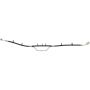 CENTRIC PARTS 150.80322 Centric Brake Hose