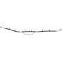 CENTRIC PARTS 150.80322 Centric Brake Hose