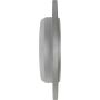 CENTRIC PARTS 320.35090C Centric GCX HC Rotor with High Carbon Content and Partial Coating