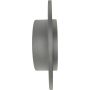 CENTRIC PARTS 320.38013H Centric GCX Rotor with Full Coating and High Carbon Content