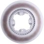 CENTRIC PARTS 320.44070F Centric GCX Rotor with Full Coating