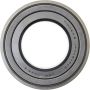 CENTRIC PARTS 410.65001E C-Tek Standard Wheel Bearing and Race Set