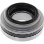 CENTRIC PARTS 410.91020E C-Tek Standard Wheel Bearing and Race Set