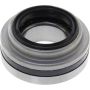 CENTRIC PARTS 410.91020E C-Tek Standard Wheel Bearing and Race Set