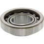 CENTRIC PARTS 411.62013E C-Tek Standard Axle Shaft Bearing Single Row
