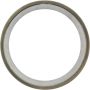 CENTRIC PARTS 416.58001E C-Tek Standard Bearing Race