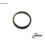 CENTRIC PARTS 416.66002E C-Tek Standard Bearing Race