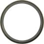 CENTRIC PARTS 416.67001E C-Tek Standard Bearing Race