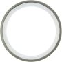 CENTRIC PARTS 416.67002E C-Tek Standard Bearing Race