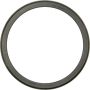 CENTRIC PARTS 416.82002E C-Tek Standard Bearing Race
