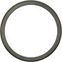 CENTRIC PARTS 416.82002E C-Tek Standard Bearing Race
