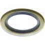 CENTRIC PARTS 417.45013 Centric Premium Oil Wheel Seal