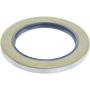 CENTRIC PARTS 417.45013 Centric Premium Oil Wheel Seal