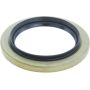 CENTRIC PARTS 417.46004 Centric Premium Oil Wheel Seal