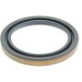 CENTRIC PARTS 417.61019 Centric Premium Oil Wheel Seal