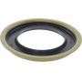 CENTRIC PARTS 417.62022 Centric Premium Oil Wheel Seal