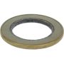 CENTRIC PARTS 417.66018 Centric Premium Oil Wheel Seal