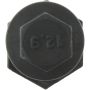 CENTRIC PARTS 699.64004 Centric Premium Ecc Camber Alignment Bolt