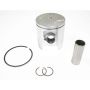 Athena S4C04750002C Cast Pistons