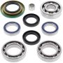 All Balls Racing 25-2068 06-10 Can-Am Outlander 400 STD 4x4 Differential Bearing & Seal Kit Rear