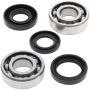 All Balls Racing 24-1022 88-90 Yamaha DT50 Crank Shaft Bearing Kit