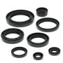 Vertex Pistons 822157 Vertex Gaskets 85-86 Suzuki LT-250R Oil Seal Kit