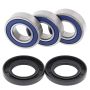 All Balls Racing 25-1021 99-06 Yamaha TTR250 Wheel Bearing Kit Rear