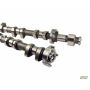 mountune Ford 2.0L EcoBoost Camshaft Set - V1