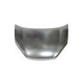 HOOD PANEL ASSY RAM PROMASTER CITY 15-C