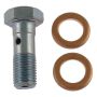 CARLSON BRAKE HARDWR H9472-2 Brake Hydraulic Banjo/Inlet Bolt