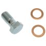 CARLSON BRAKE HARDWR H9474-2 Brake Hydraulic Banjo/Inlet Bolt