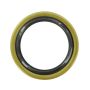SKF 15807 Seal