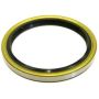 SKF 16509 Seal