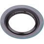 SKF 16599 SKF Seal 16599 For dodge Chrysler Plymouth