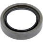 SKF 16667 SKF Seal 16667 For Checker Marathon 1960-1968