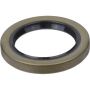 SKF 16669 SKF Seal 16669 For Eagle Dodge