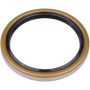 SKF 20225 Seal