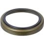 SKF 24888 Seal