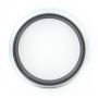 SKF 43752 SKF Scotseal Classic 43752