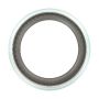 SKF 45162 SKF Scotseal Classic 45162