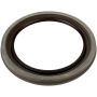 SKF 48883 SKF Seal 48883