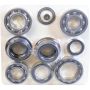 SKF STCK4417 SKF Transfer Case Rebuild Kit STCK4417 For Ford Lincoln