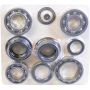 SKF STCK4417 SKF Transfer Case Rebuild Kit STCK4417 For Ford Lincoln